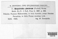 Herpotrichia pinetorum image